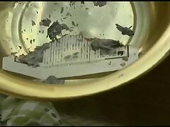 FTDS-005 Minami's Sweet Surrender First Time Creampie Bliss