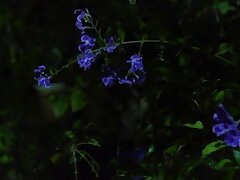 JUX-165 Sizzling Asian Teen's Explicit Blowjob & Deep Throat Adventure