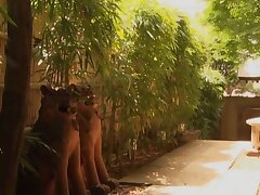 JUY-243-javguru Queen of Desire Stunning Beauty's Steamy Night of Passion