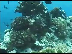 THP02 Rei Minami's Sensual Adventure Toy-Filled Pussy Playtime Delight