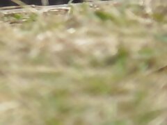 220501g Sizzling Nights Hot Couples Ignite Desire in Passionate Love Scenes