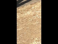 niko13 Aya Eikura's Steamy Adventure Wild Trio Night of Passion