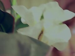 Babes_041 Japanese Sweetheart's Expert Lip Skills A Sensual Journey